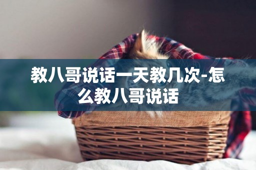 教八哥說話一天教幾次-怎么教八哥說話