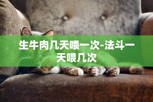 生牛肉幾天喂一次-法斗一天喂幾次