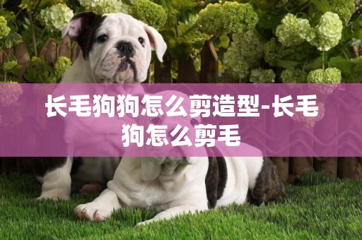 長毛狗狗怎么剪造型-長毛狗怎么剪毛