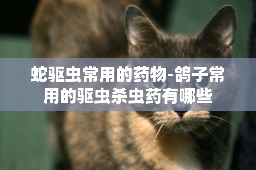 蛇驅蟲常用的藥物-鴿子常用的驅蟲殺蟲藥有哪些