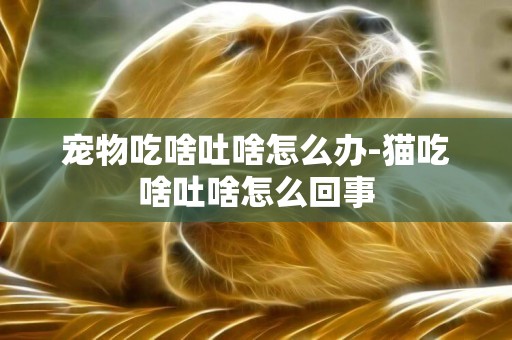 寵物吃啥吐啥怎么辦-貓吃啥吐啥怎么回事