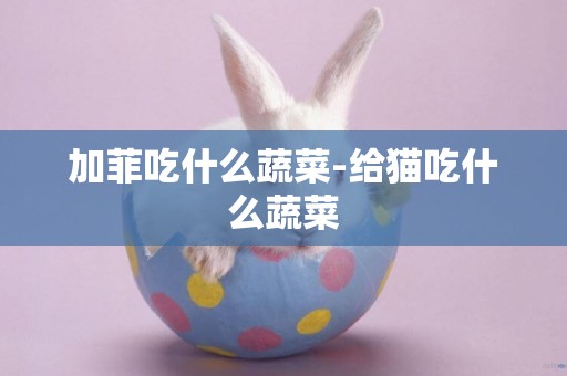 加菲吃什么蔬菜-給貓吃什么蔬菜