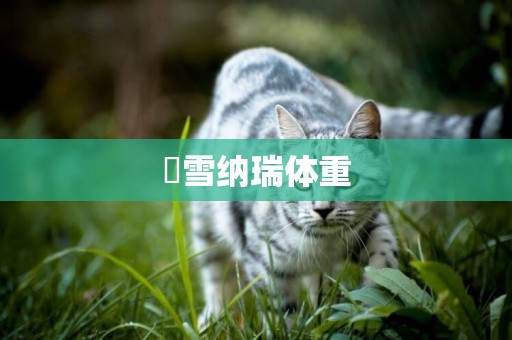 ?雪納瑞體重