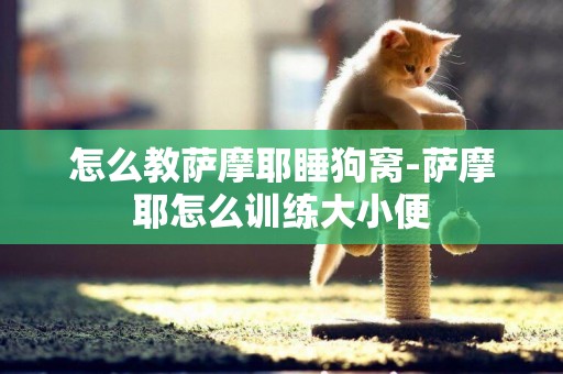 怎么教薩摩耶睡狗窩-薩摩耶怎么訓練大小便