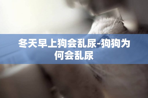 冬天早上狗會亂尿-狗狗為何會亂尿