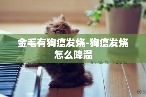 金毛有狗瘟發燒-狗瘟發燒怎么降溫