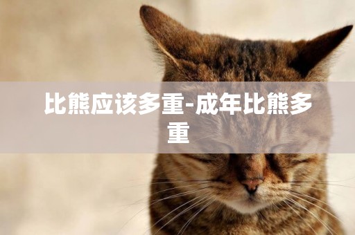 比熊應該多重-成年比熊多重