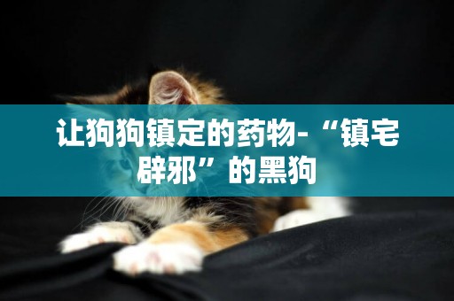 讓狗狗鎮定的藥物-“鎮宅辟邪”的黑狗
