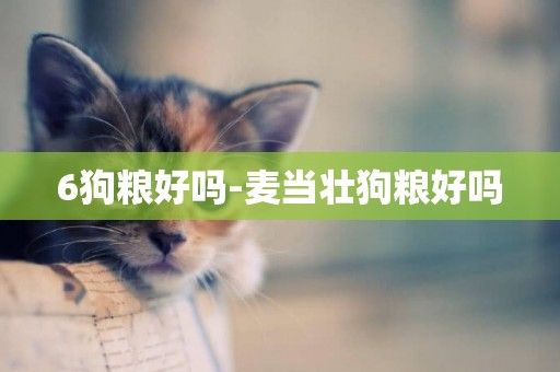 6狗糧好嗎-麥當壯狗糧好嗎