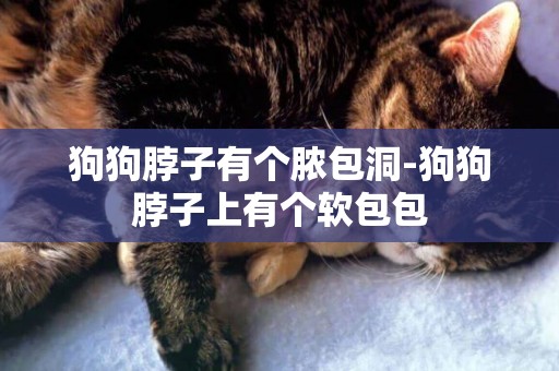 狗狗脖子有個膿包洞-狗狗脖子上有個軟包包