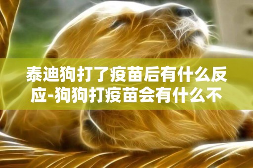 泰迪狗打了疫苗后有什么反應-狗狗打疫苗會有什么不良反應