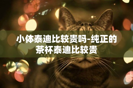小體泰迪比較貴嗎-純正的茶杯泰迪比較貴