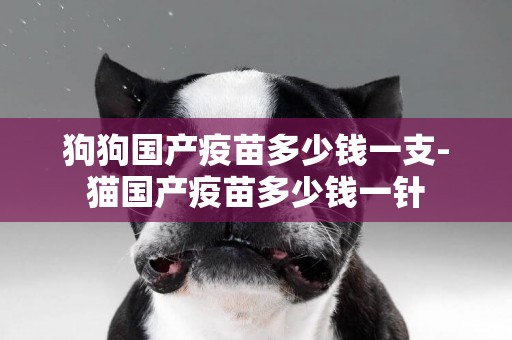 狗狗國產疫苗多少錢一支-貓國產疫苗多少錢一針