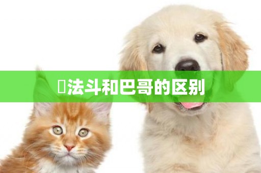 ?法斗和巴哥的區別