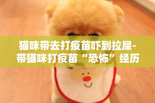 貓咪帶去打疫苗嚇到拉屎-帶貓咪打疫苗“恐怖”經歷