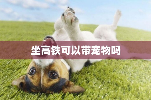 坐高鐵可以帶寵物嗎