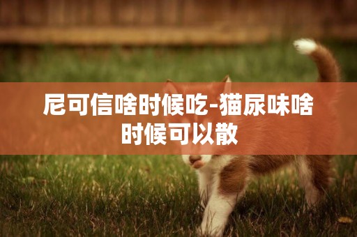 尼可信啥時候吃-貓尿味啥時候可以散