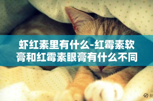 蝦紅素里有什么-紅霉素軟膏和紅霉素眼膏有什么不同