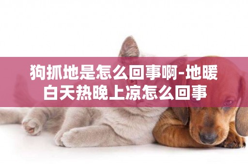 狗抓地是怎么回事啊-地暖白天熱晚上涼怎么回事