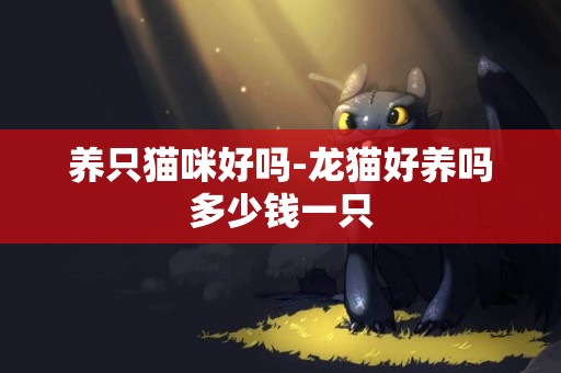 養只貓咪好嗎-龍貓好養嗎多少錢一只