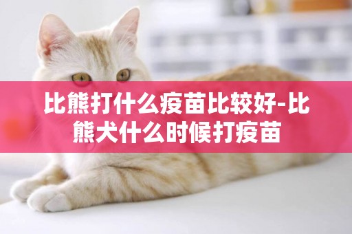比熊打什么疫苗比較好-比熊犬什么時候打疫苗