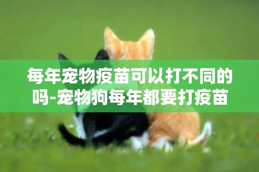 每年寵物疫苗可以打不同的嗎-寵物狗每年都要打疫苗和狂犬疫苗嗎