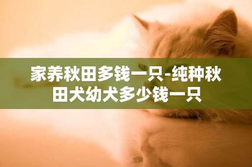 家養秋田多錢一只-純種秋田犬幼犬多少錢一只