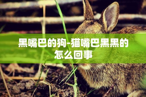 黑嘴巴的狗-貓嘴巴黑黑的怎么回事