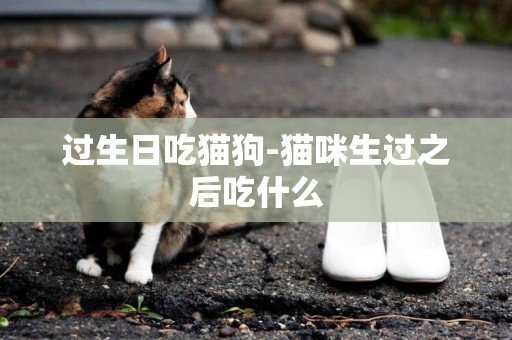 過生日吃貓狗-貓咪生過之后吃什么