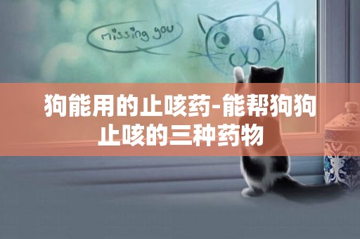 狗能用的止咳藥-能幫狗狗止咳的三種藥物