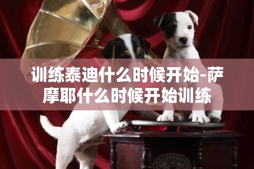訓練泰迪什么時候開始-薩摩耶什么時候開始訓練