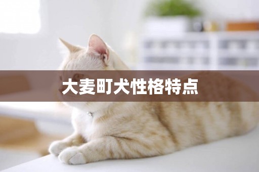 大麥町犬性格特點