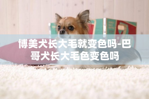 博美犬長大毛就變色嗎-巴哥犬長大毛色變色嗎