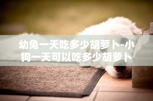幼兔一天吃多少胡蘿卜-小狗一天可以吃多少胡蘿卜