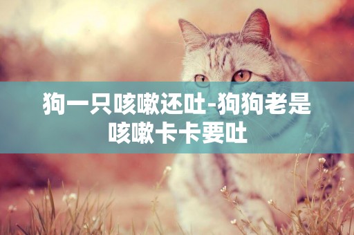 狗一只咳嗽還吐-狗狗老是咳嗽卡卡要吐