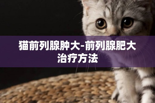 貓前列腺腫大-前列腺肥大治療方法