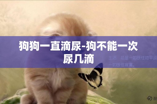 狗狗一直滴尿-狗不能一次尿幾滴