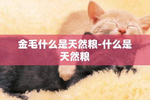 金毛什么是天然糧-什么是天然糧