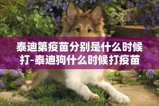 泰迪第疫苗分別是什么時候打-泰迪狗什么時候打疫苗