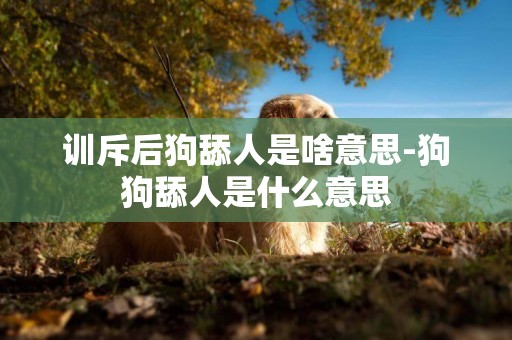 訓斥后狗舔人是啥意思-狗狗舔人是什么意思
