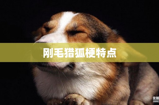 剛毛獵狐梗特點