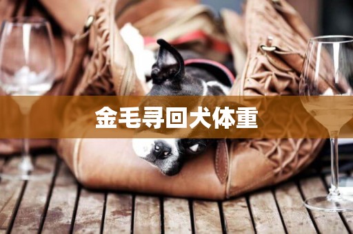 金毛尋回犬體重