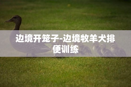 邊境開籠子-邊境牧羊犬排便訓練