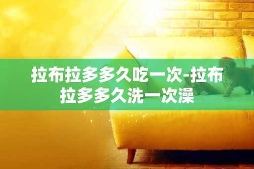 拉布拉多多久吃一次-拉布拉多多久洗一次澡