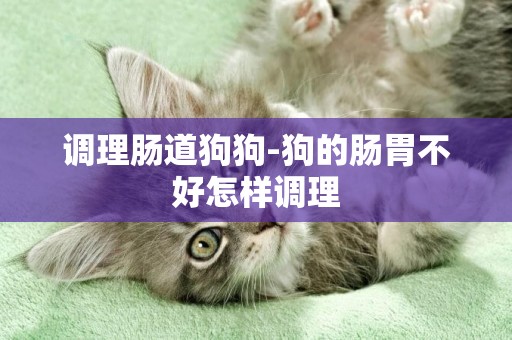 調理腸道狗狗-狗的腸胃不好怎樣調理