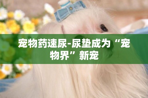 寵物藥速尿-尿墊成為“寵物界”新寵