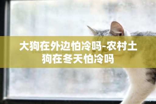 大狗在外邊怕冷嗎-農村土狗在冬天怕冷嗎