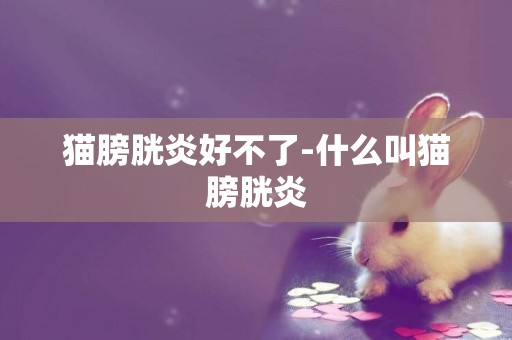 貓膀胱炎好不了-什么叫貓膀胱炎