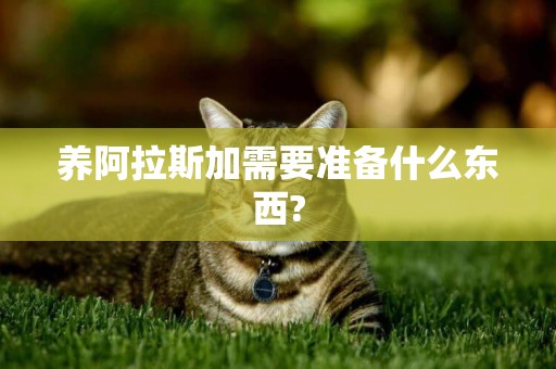 養阿拉斯加需要準備什么東西?