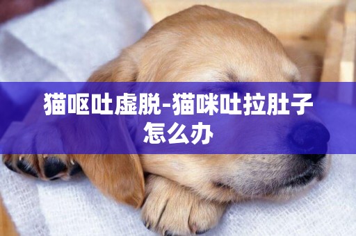 貓嘔吐虛脫-貓咪吐拉肚子怎么辦